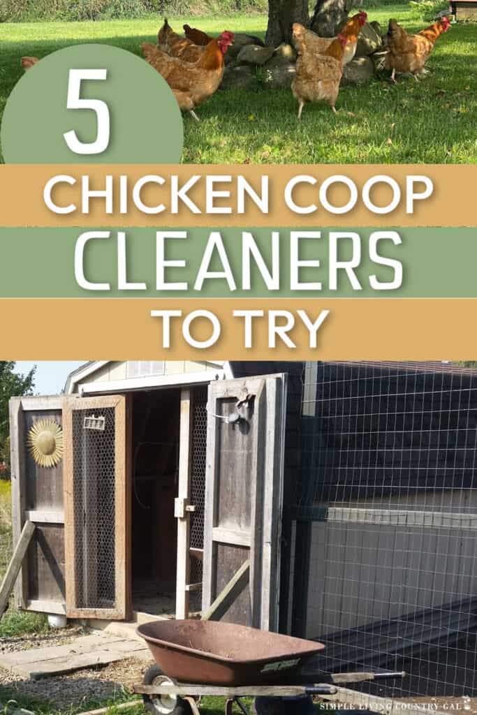 Best Chicken Coop Cleaner and Deodorizers
