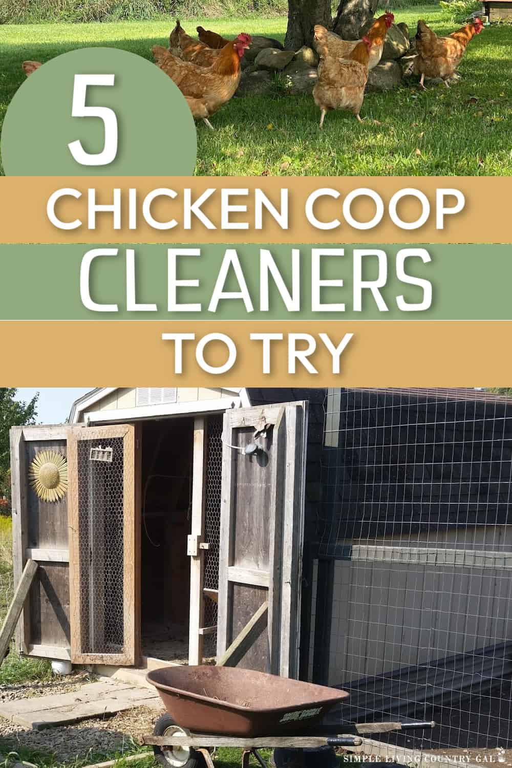 Best Chicken Coop Cleaner and Deodorizers Simple Living Country Gal