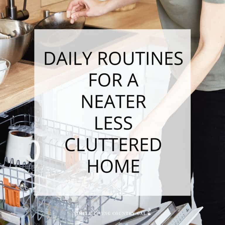 Daily Chores to Keep House Clean