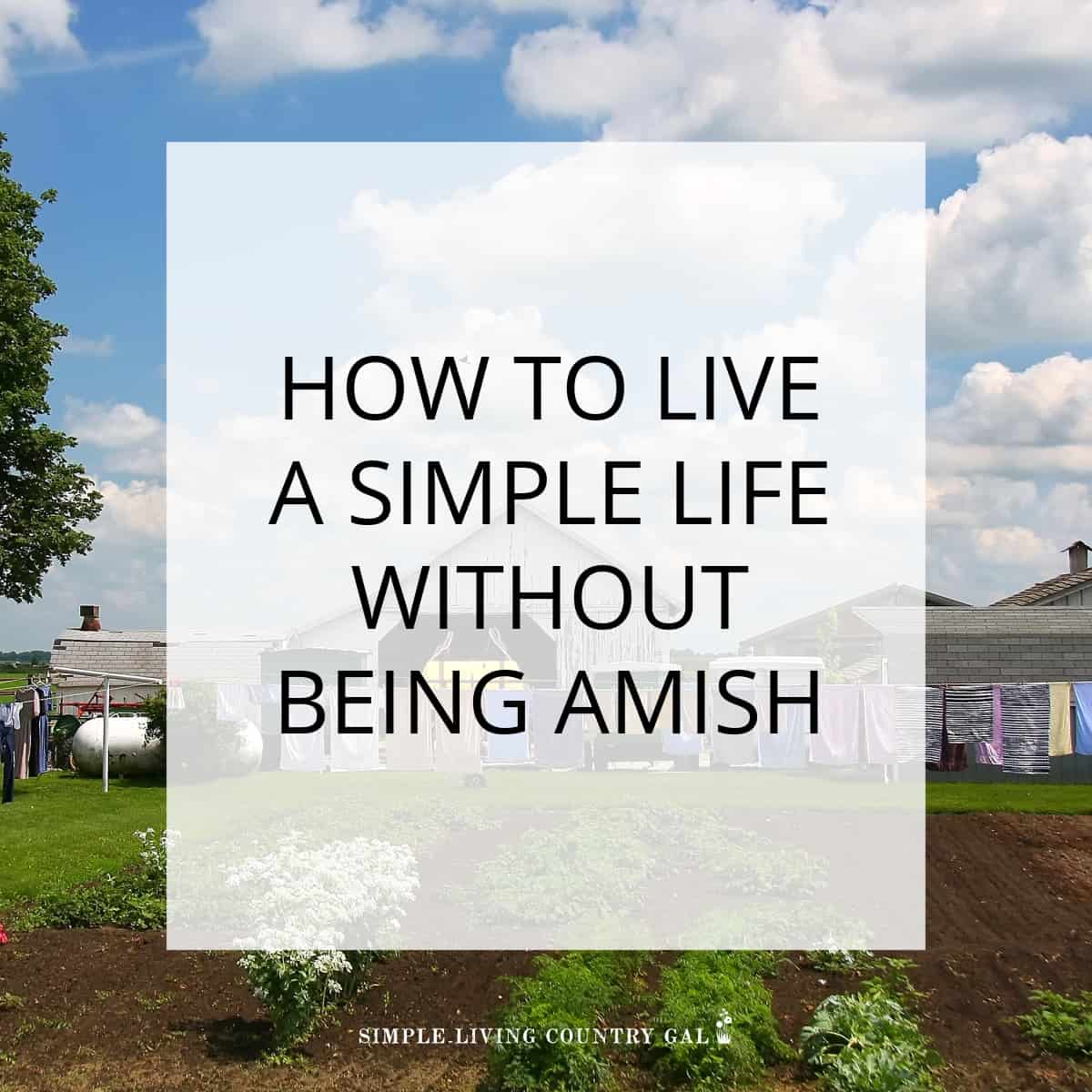 How to live amish without being amish