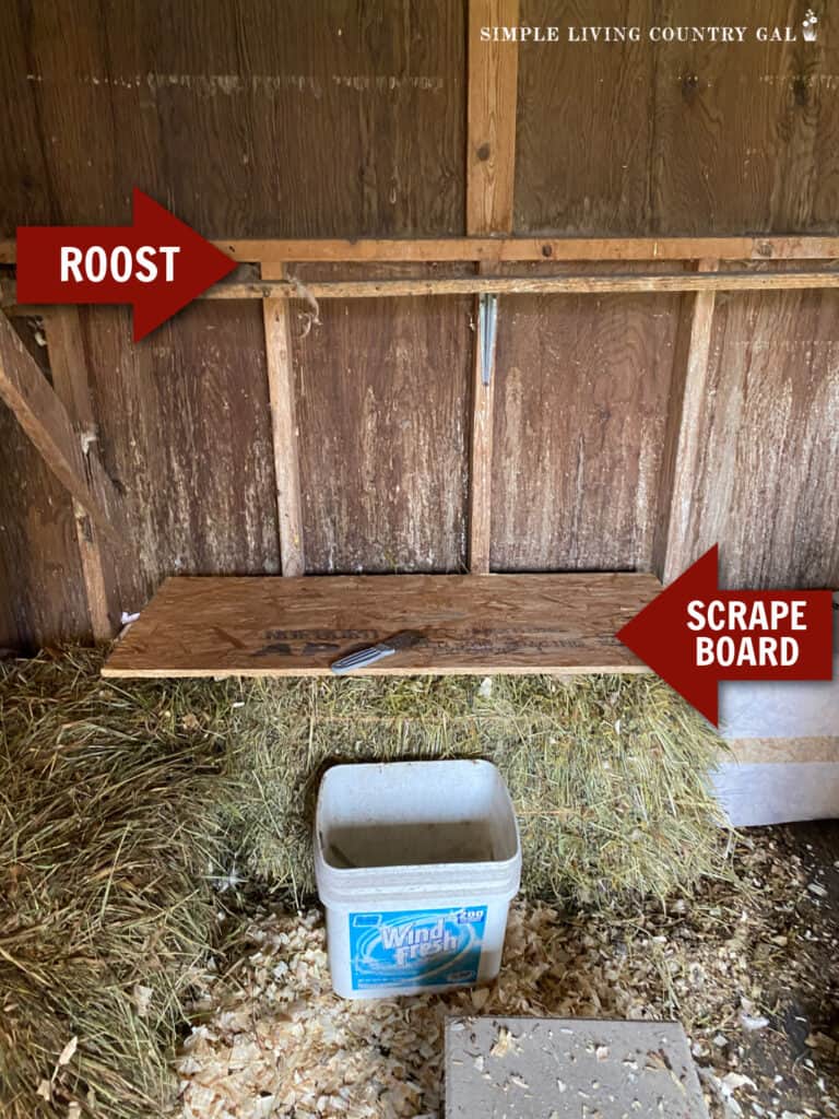 a scrape board below a chicken roost near to a bucket (1)
