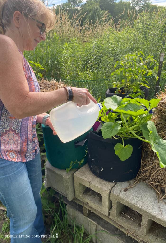 a woman watering plants with a plastic milk container 