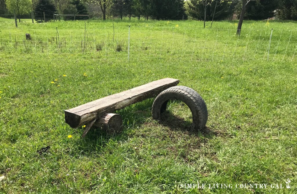 wood and a tire setup in a pasture for goats to climb on