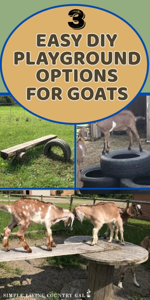 toys for goats to climb on