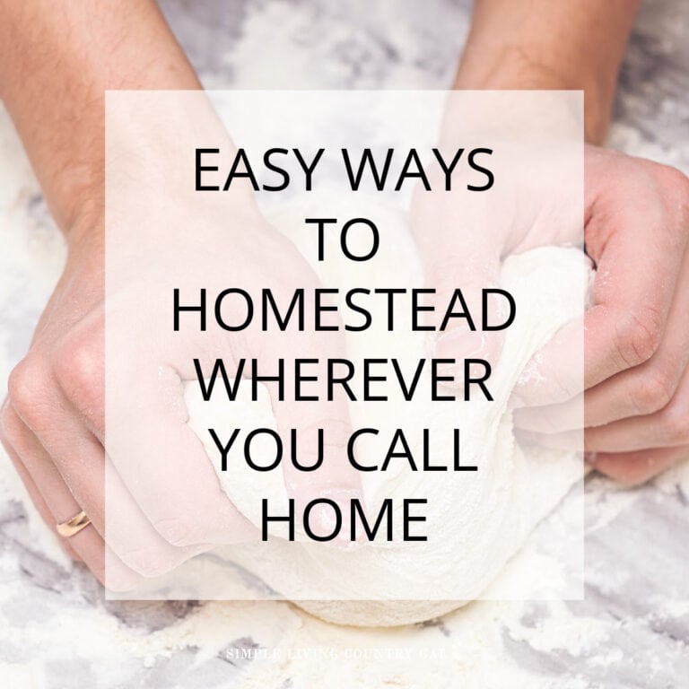 ways to homestead anywhere