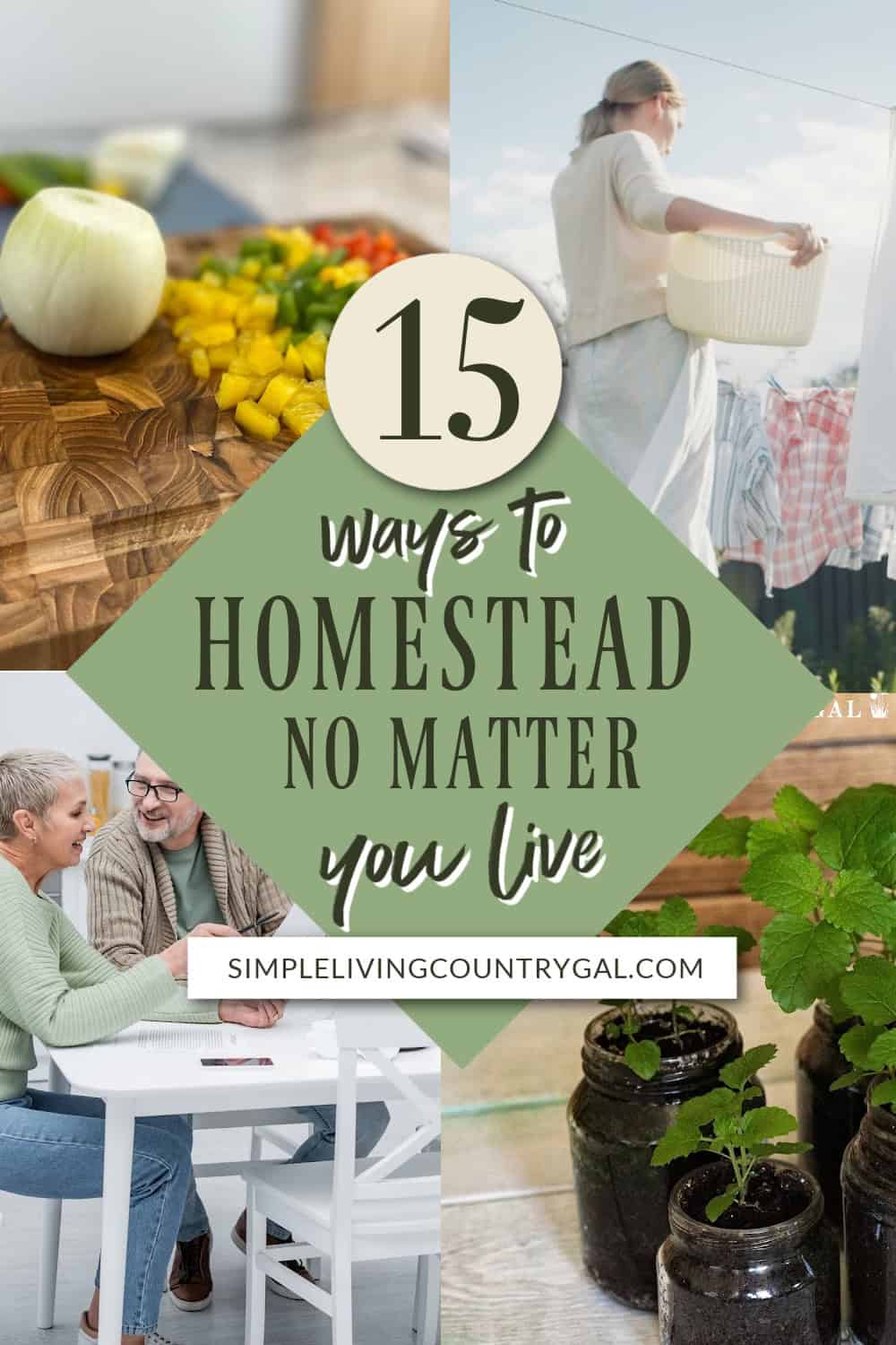 Ways to Homestead Anywhere for a Fulfilling Life | Simple Living ...