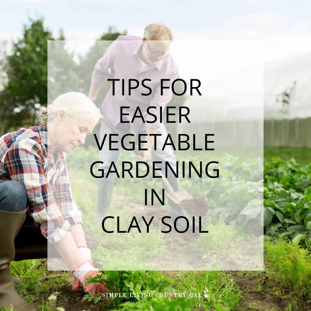 Gardening in Clay Soil | Simple Living Country Gal