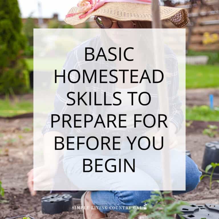 Homestead Basics