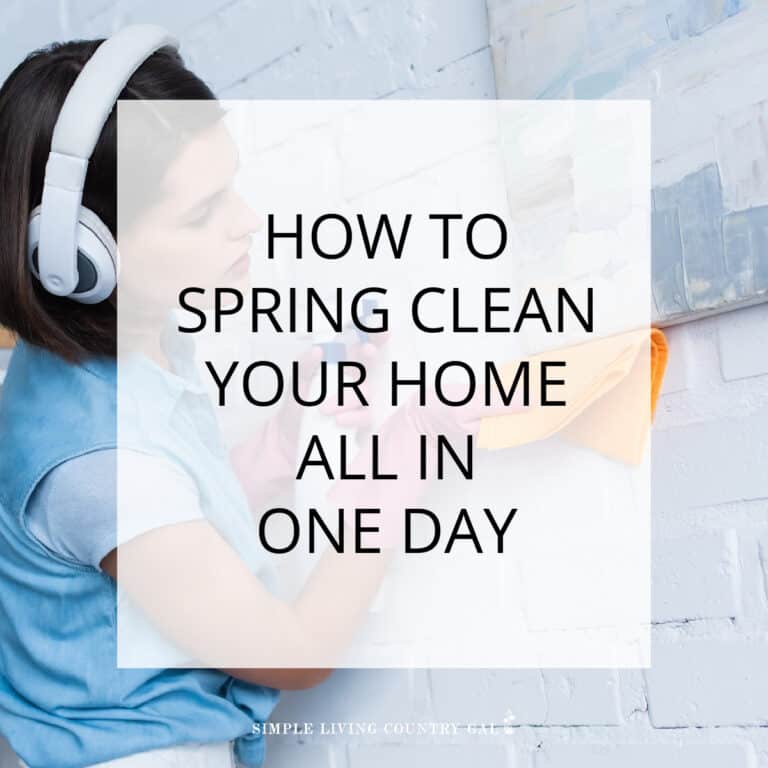 How to Spring Clean Your House in a Day
