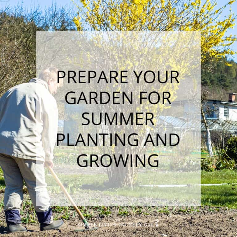 Prepare Your Garden for Summer Planting and Growing