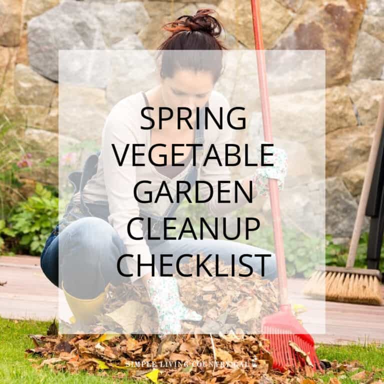 Spring Garden Cleanup Checklist