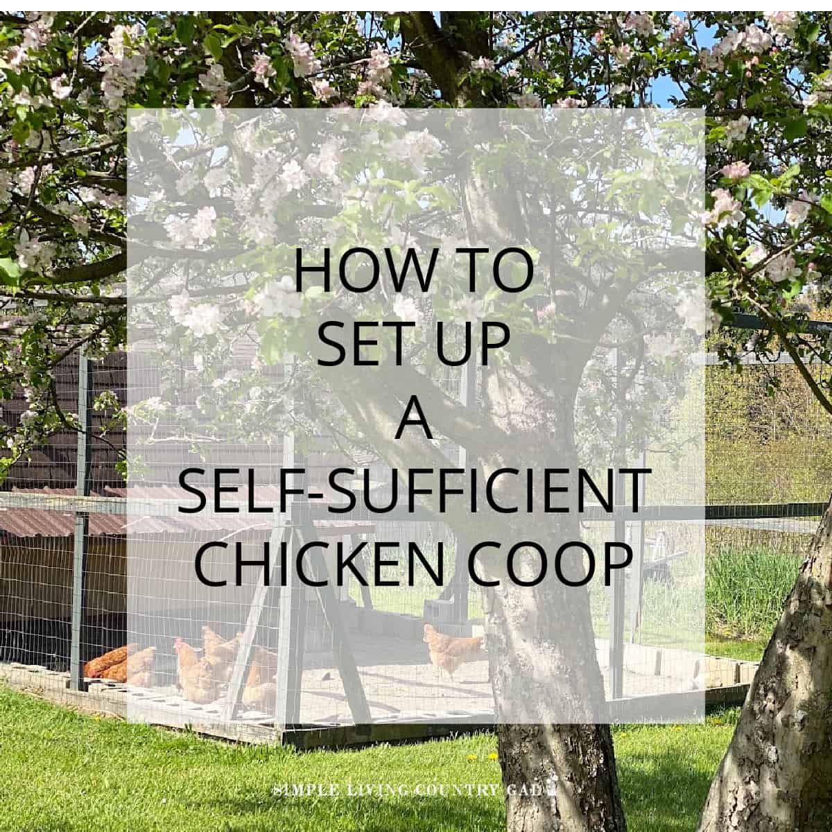 Self-Sufficient Chicken Coop