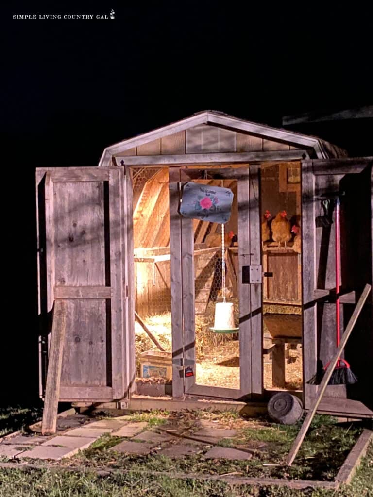 a lit up interior of a chicken coop after dark