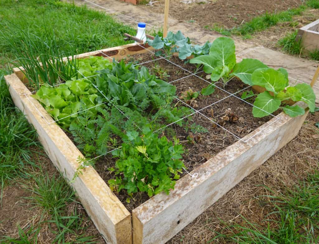 a raised garden bed with a string grid on top