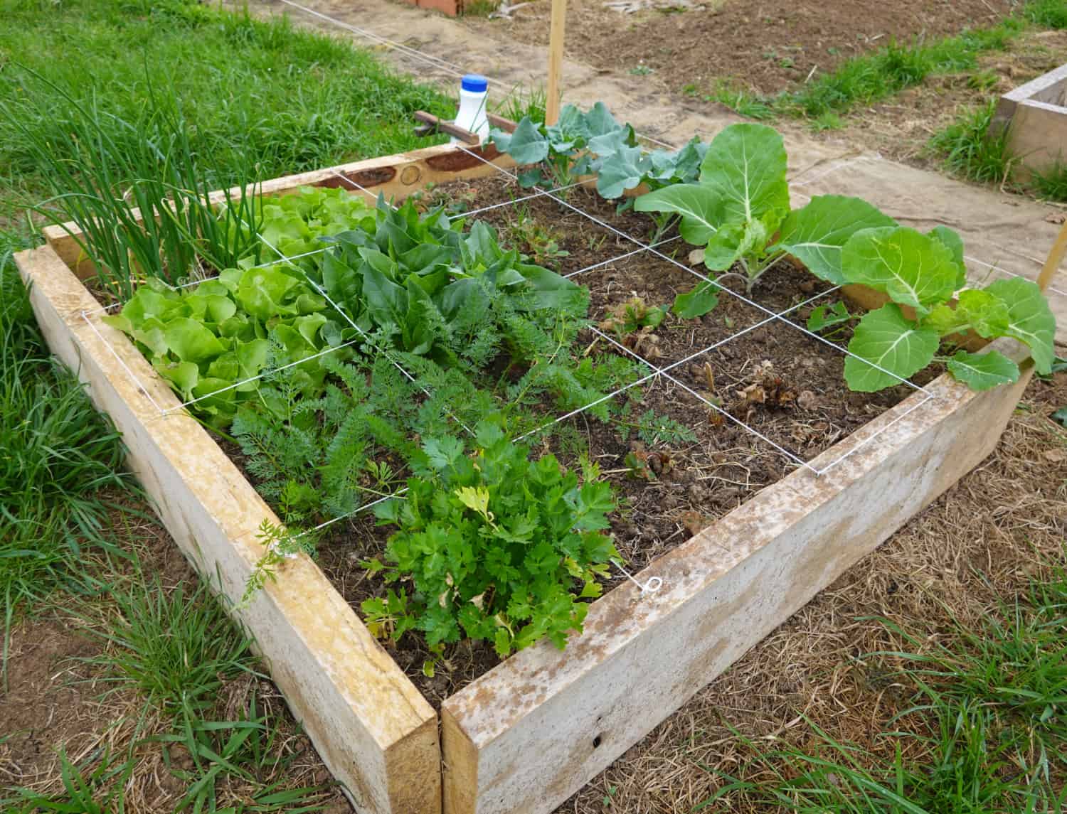 Square Foot Garden Planner 