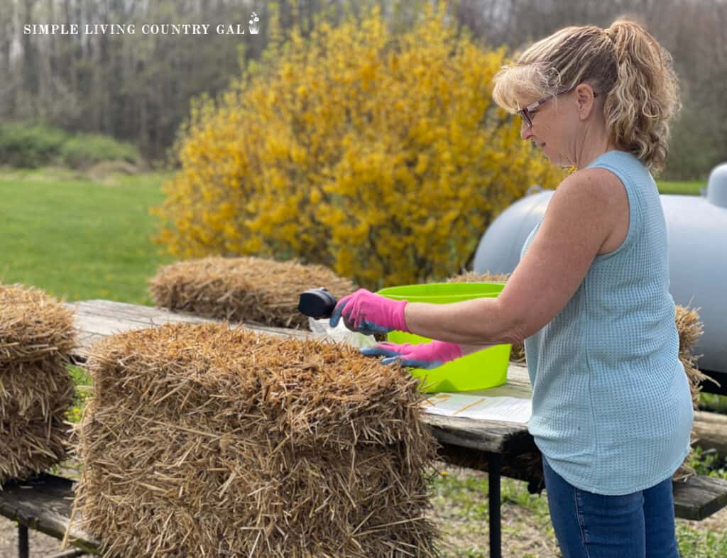 a woman prepping straw bales for planting vegetables 