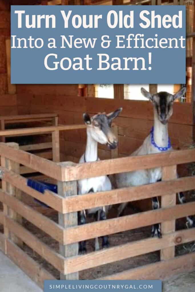 convert a shed into a goat barn
