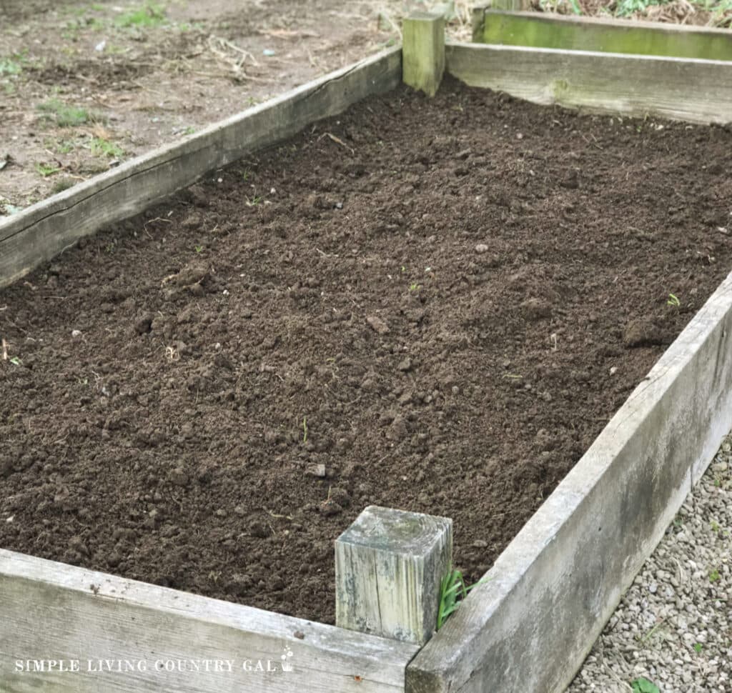 fresh organic soil in a raised bed