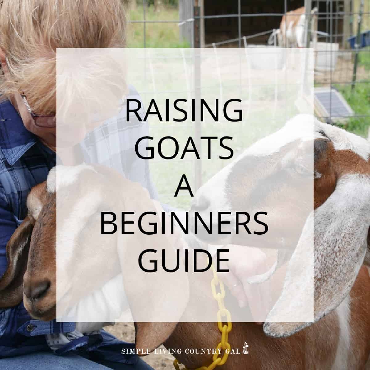 Raising Goats for Beginners | Simple Living Country Gal