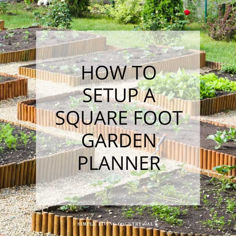 Square Foot Garden planner