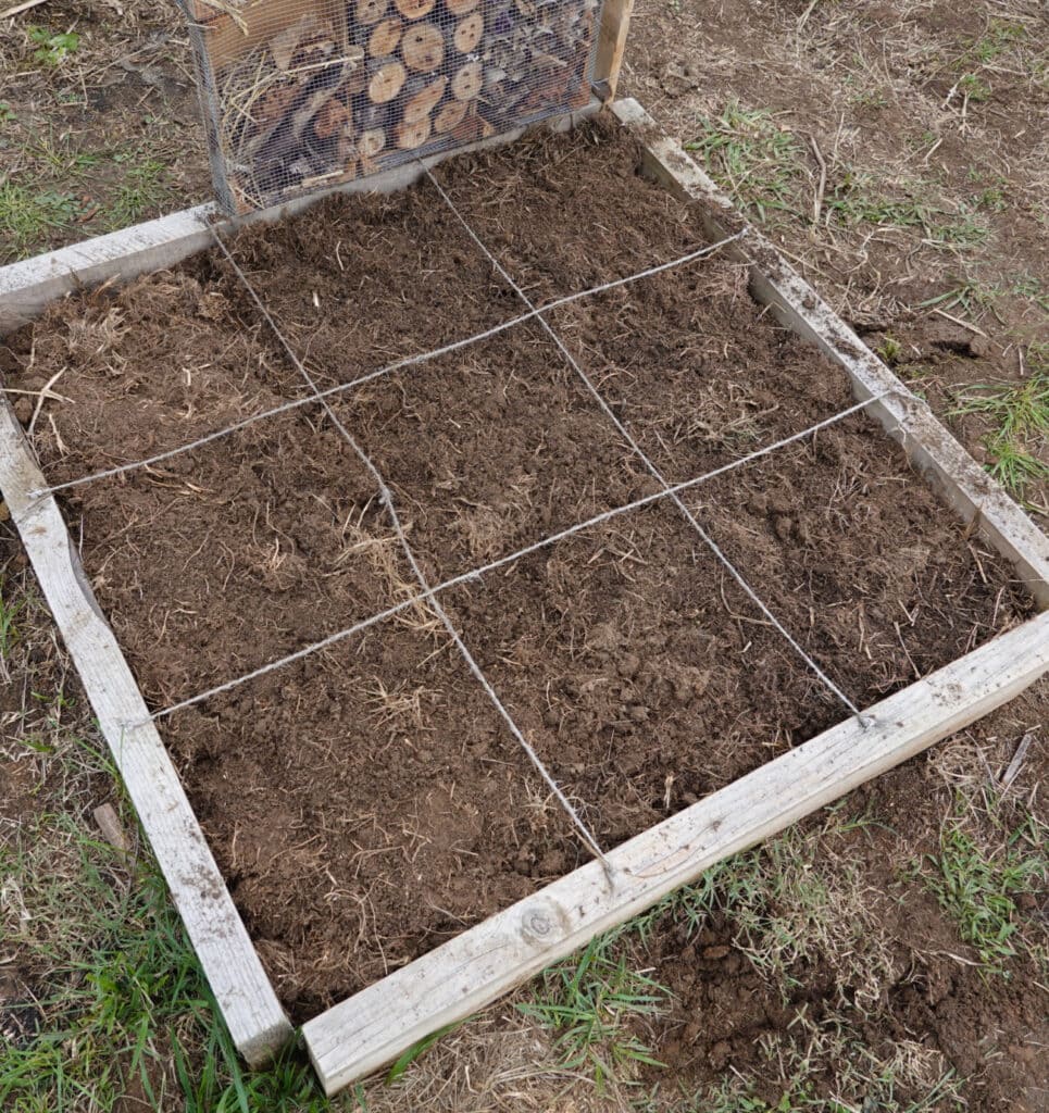strings on the soil of a raised bed in a grid pattern for square for gardening