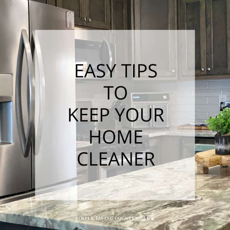 Easy Tips to Keep House Clean