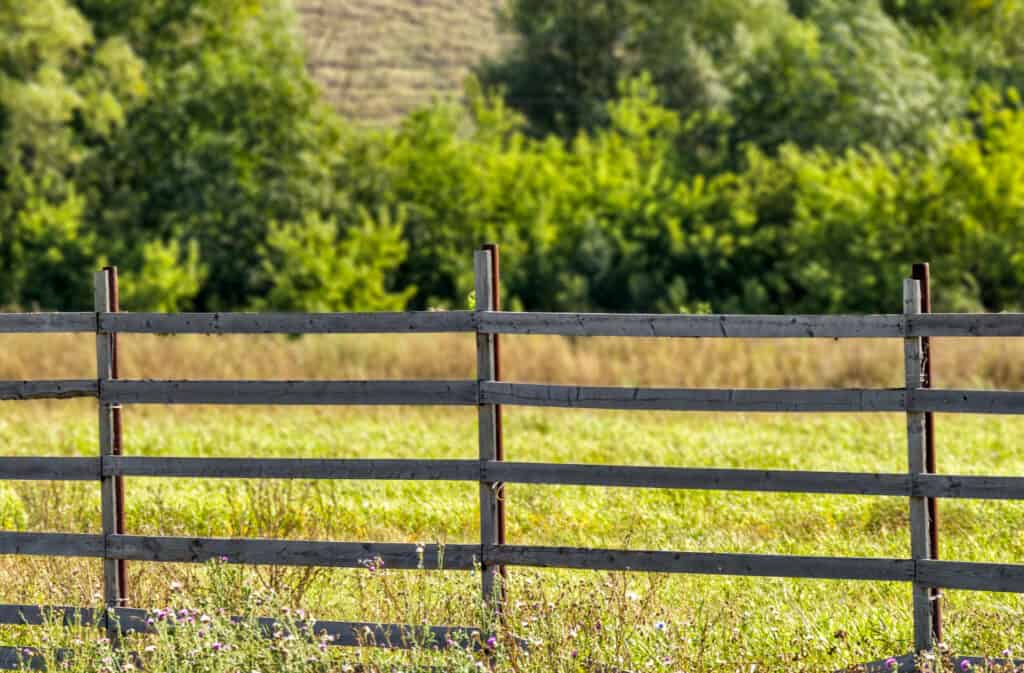 a wood fence in a pasture on a homestead