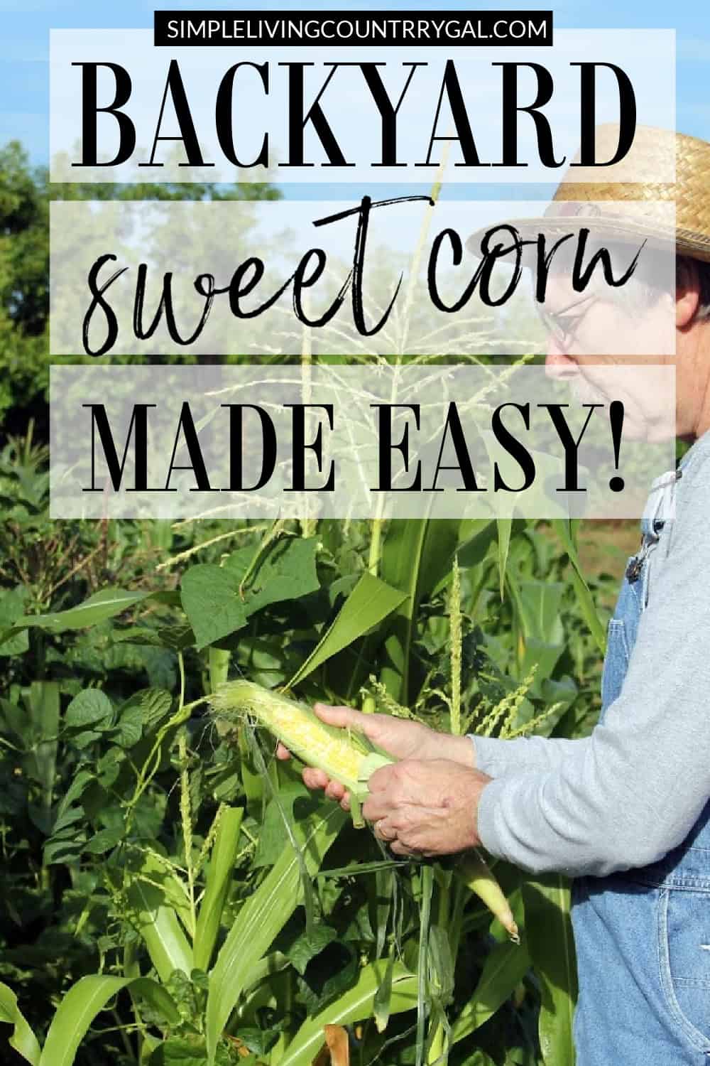 How to Grow Sweet Corn in Your Backyard | Simple Living Country Gal