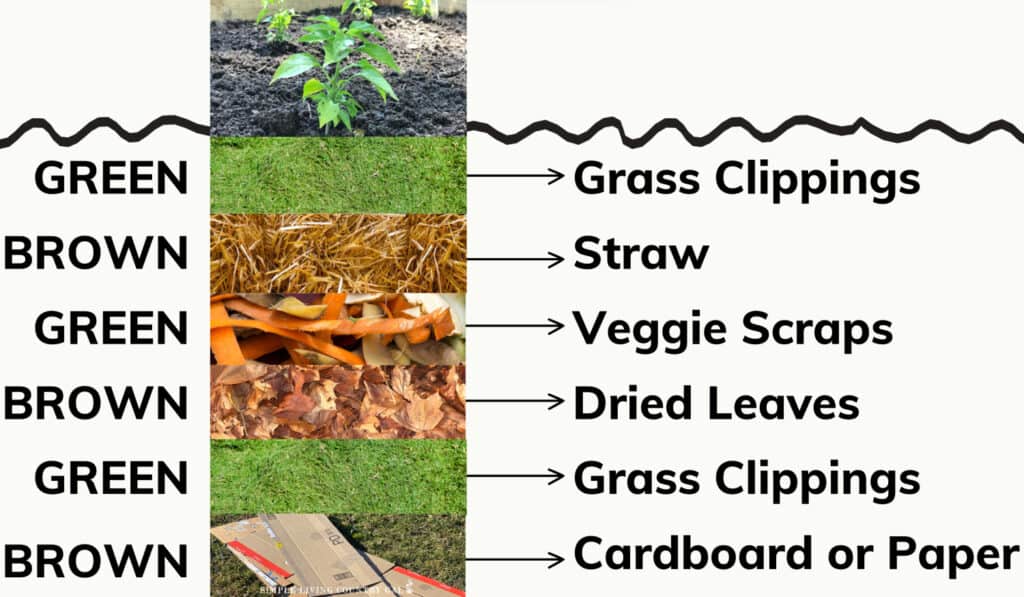 a graphic showing the different lasagna gardening layers