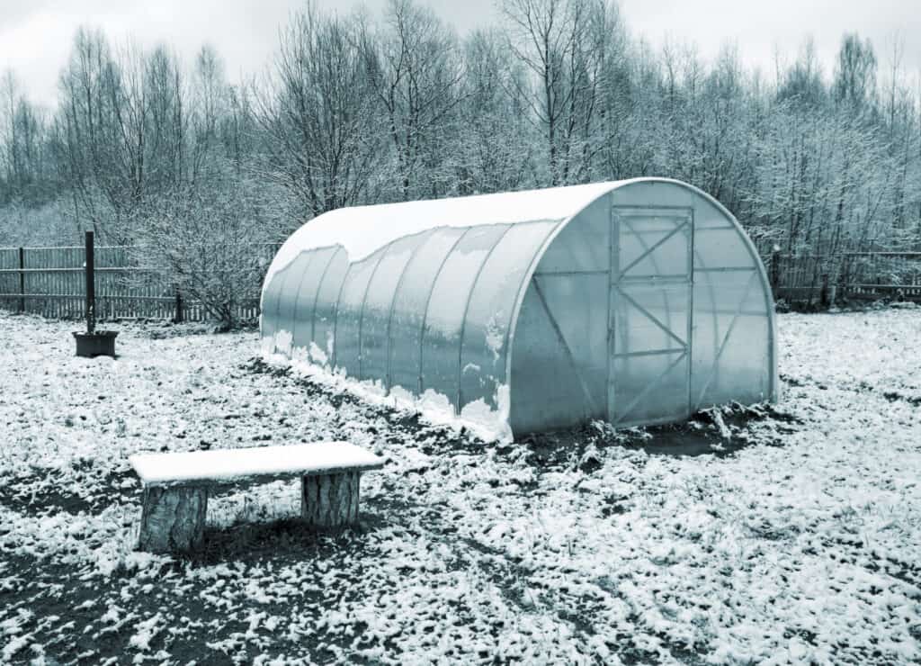 a green house in a snowy field near to a bench