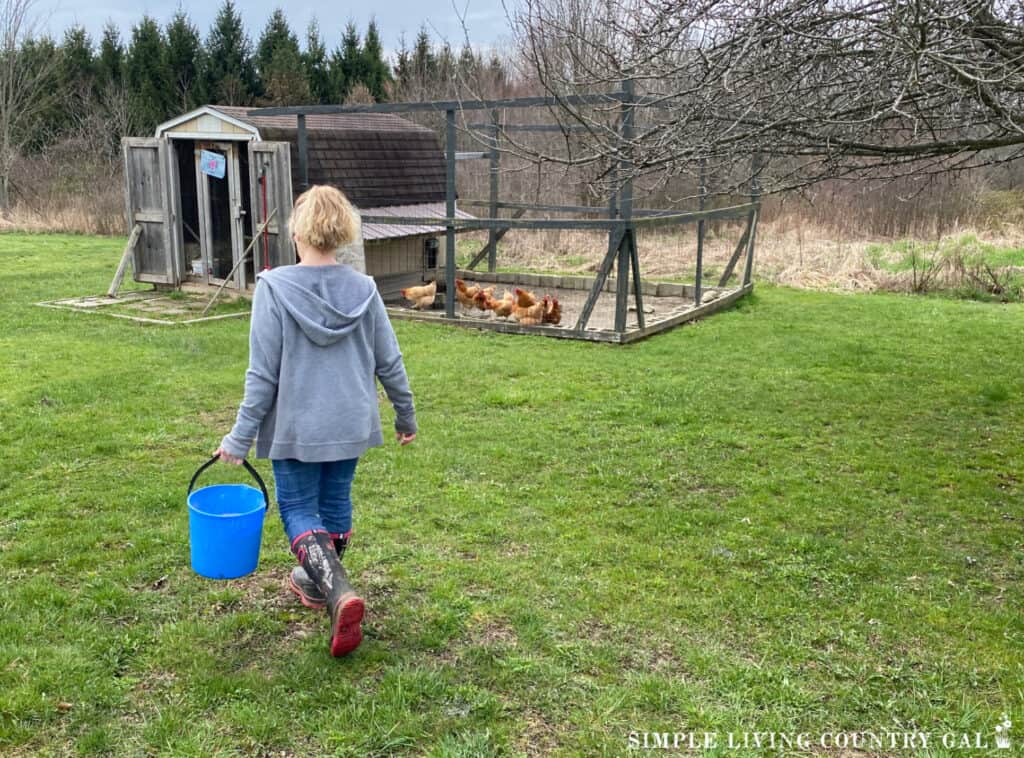 a midlife woman carrying a blue bucket of feed out to a chicken coop