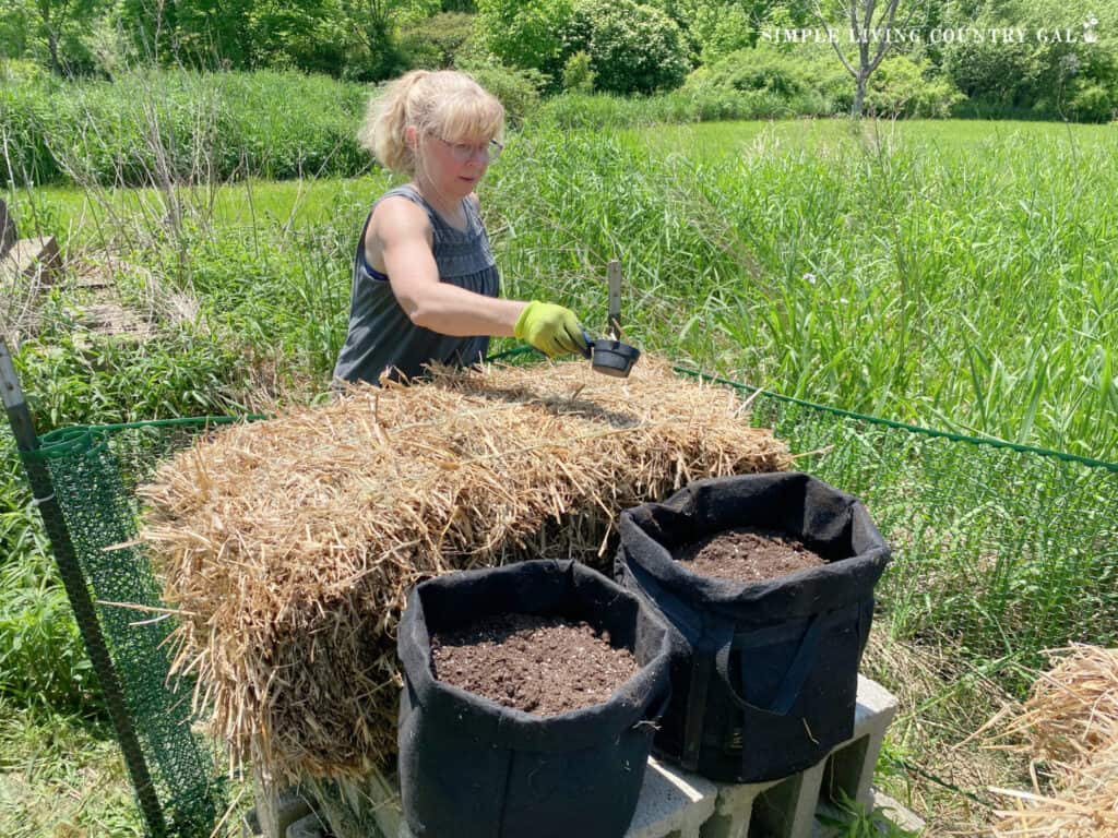 a woman prepping a straw bale for planting a garden 