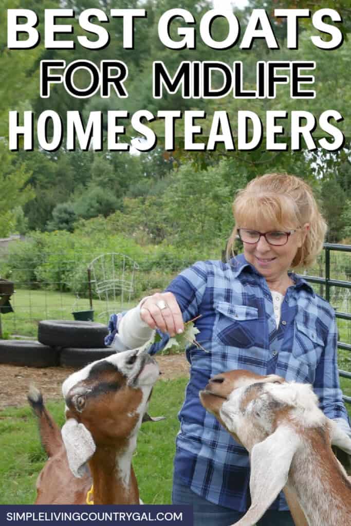 best goat breedss for beginners