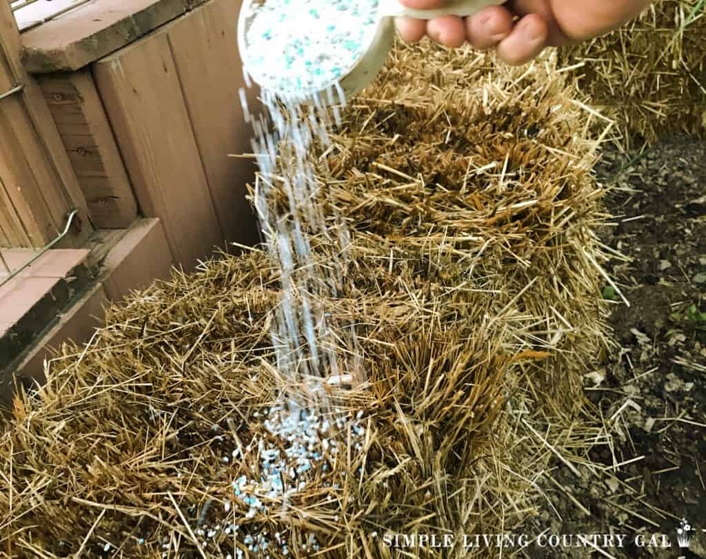 fertilizer being poured onto a straw bale copy