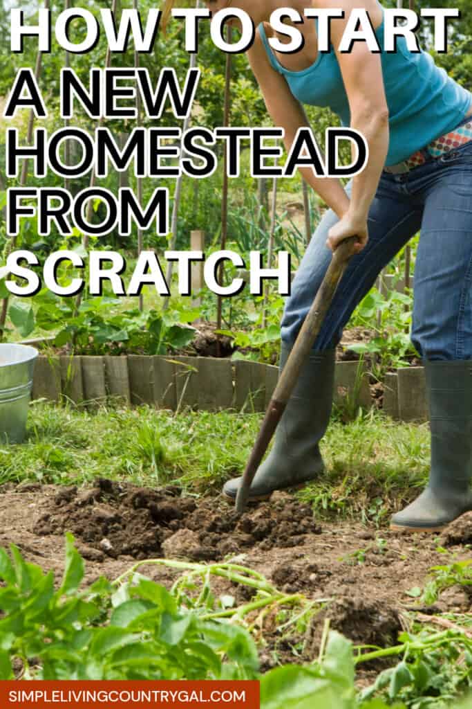 starting a homestead from scratch