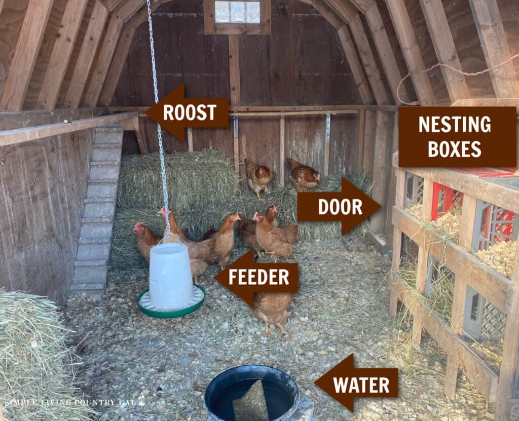 The interior of a coop with labels for nesting boxes, roost, food, water, and door