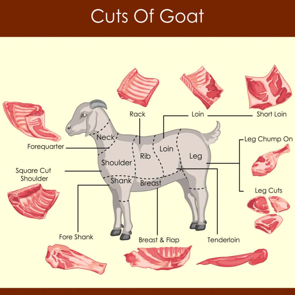 An illustration of a goat showing different cuts of meat