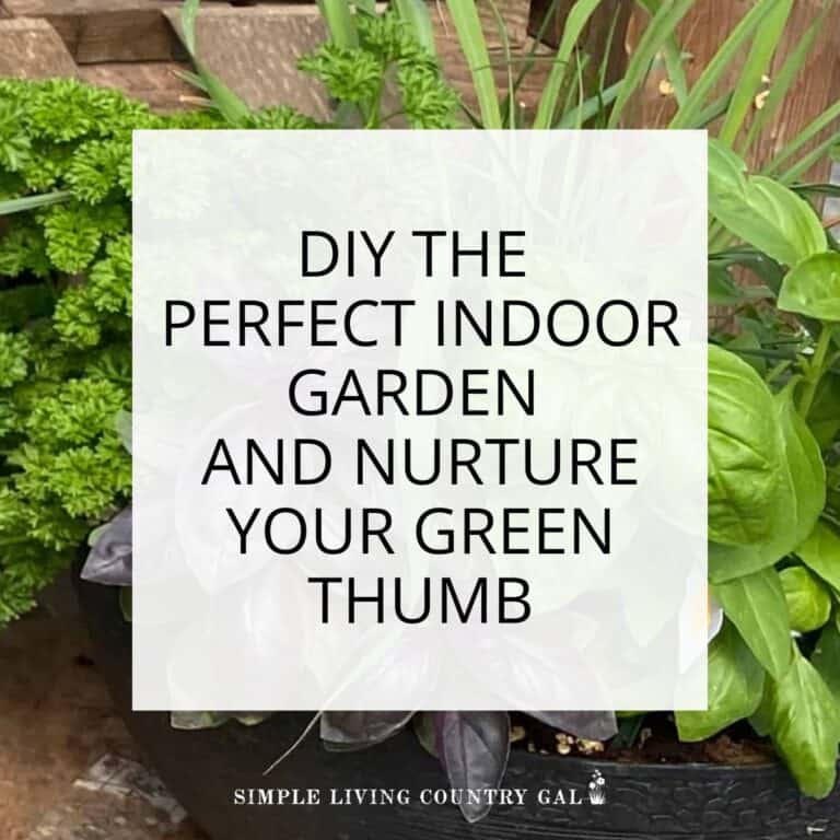 DIY indoor garden system
