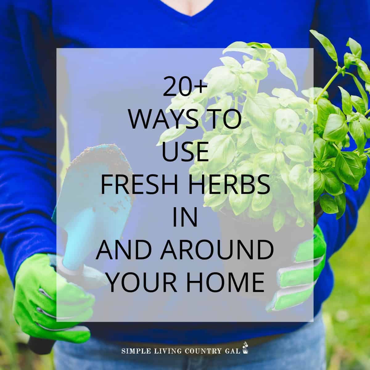 how to use up fresh herbs