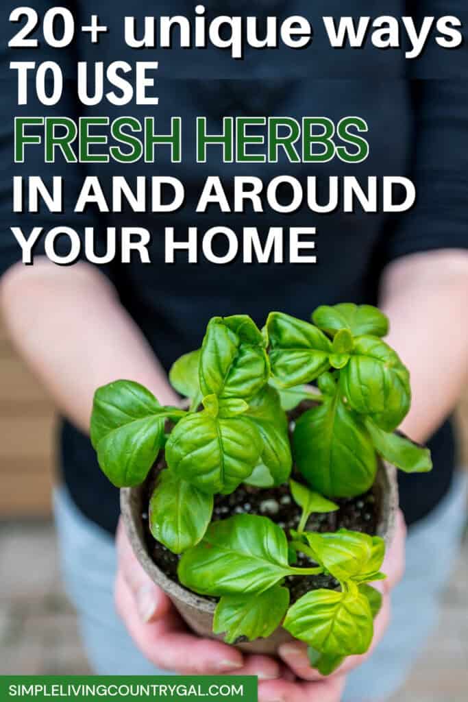 HOW TO USE FRESH HERBS