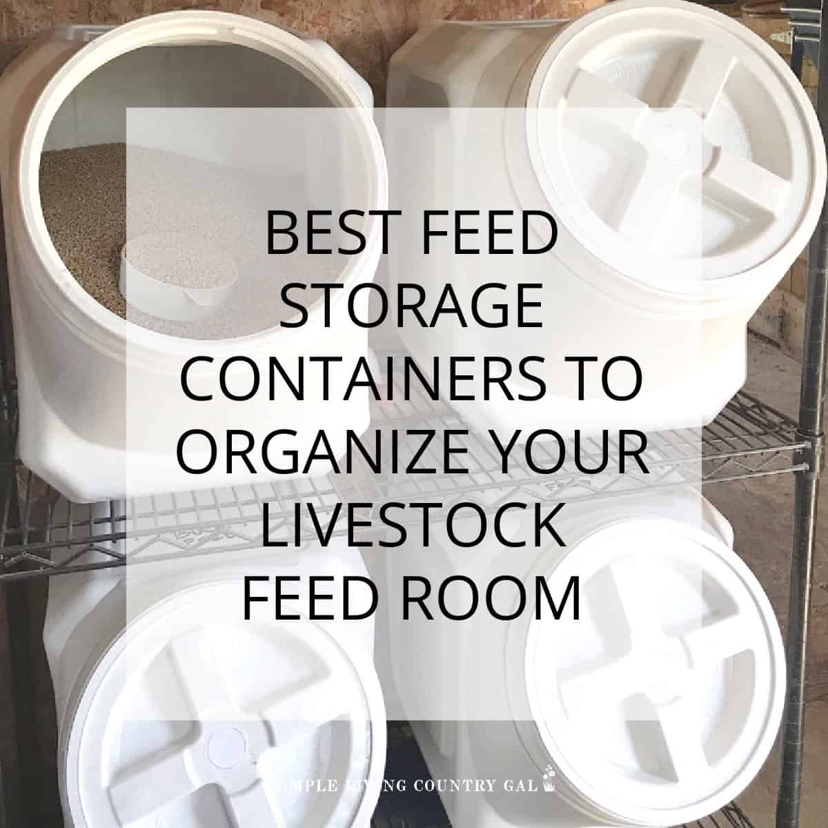 best livestock feed storage containers