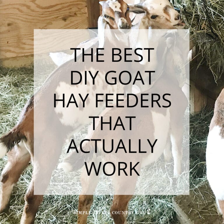 diy goat hay feeder