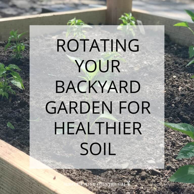 Rotating Your Garden Crops