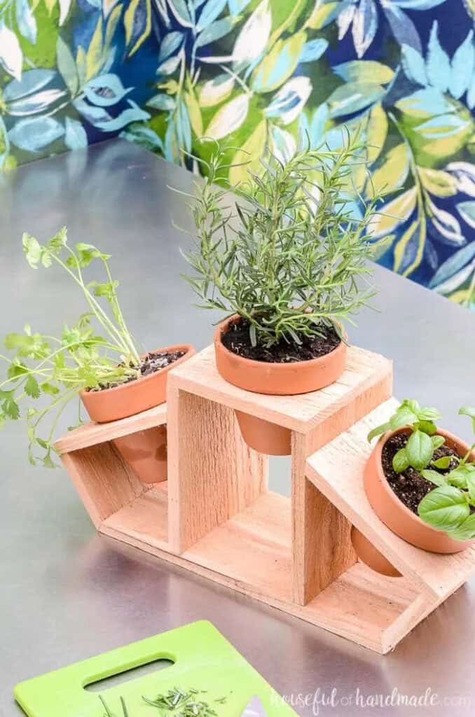 small countertop herb garden with a wooden stand holding three terracotta pots