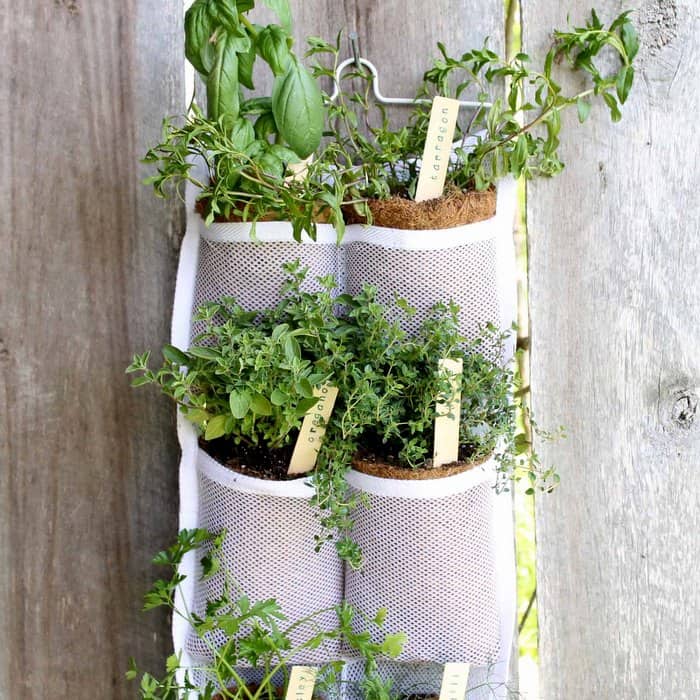 vertical hanging mesh organizer repurposed as a herb garden