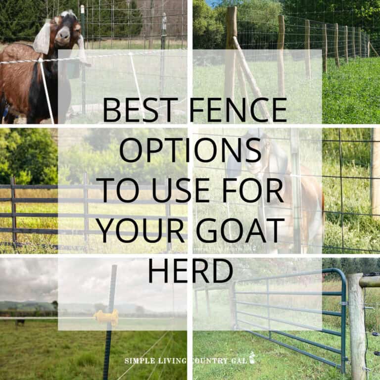 Best Goat Fence