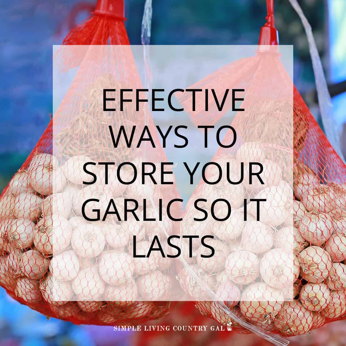 How to Store Garlic Simple Living Country Gal