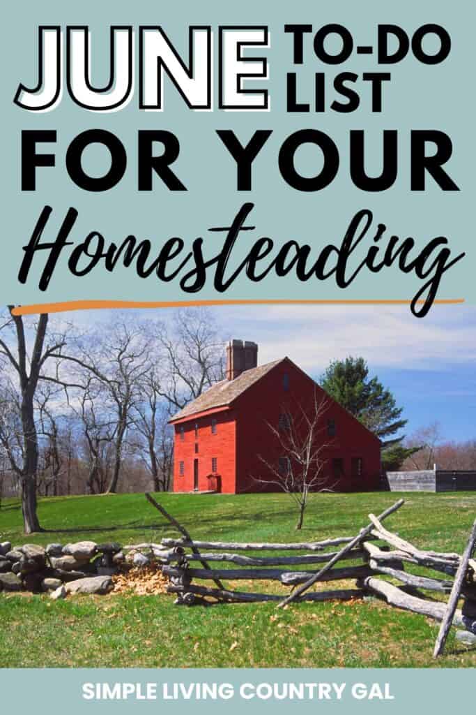 June To-Do List for Your Homestead