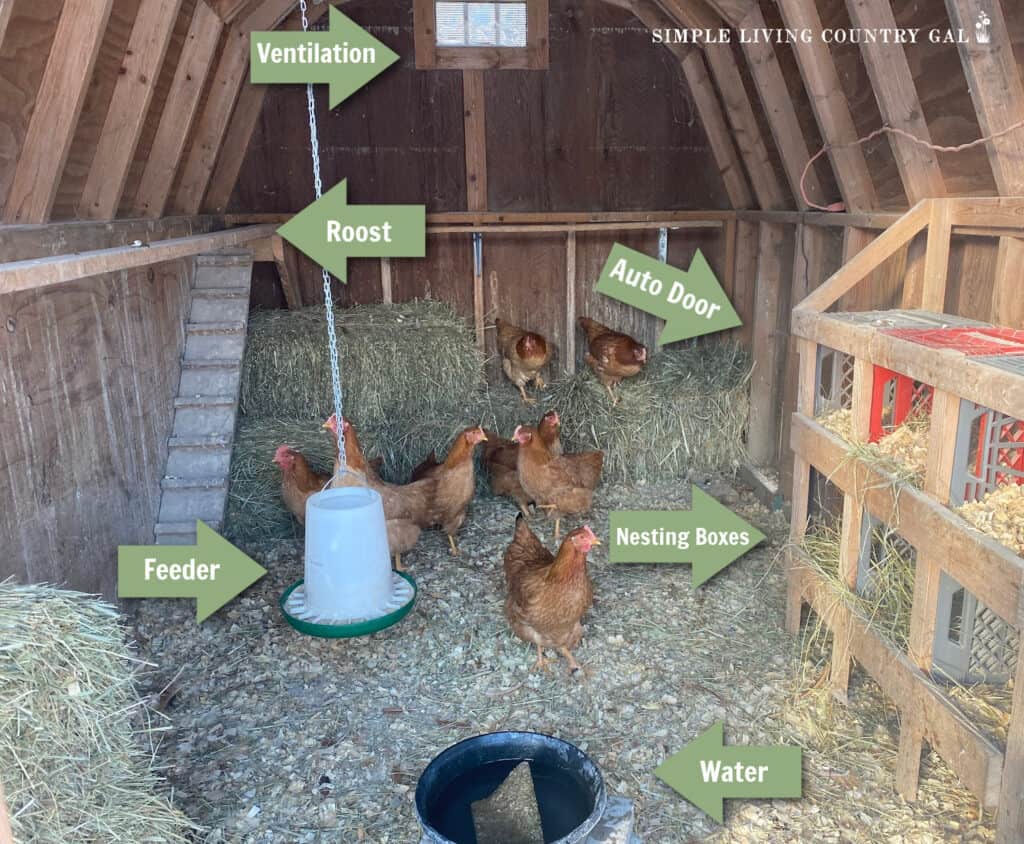 a interior photo of a chicken coop with arrows pointing to each area inside giving the layout of where things go