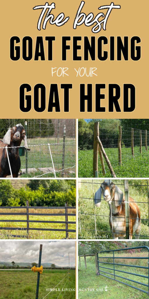 best goat fencing